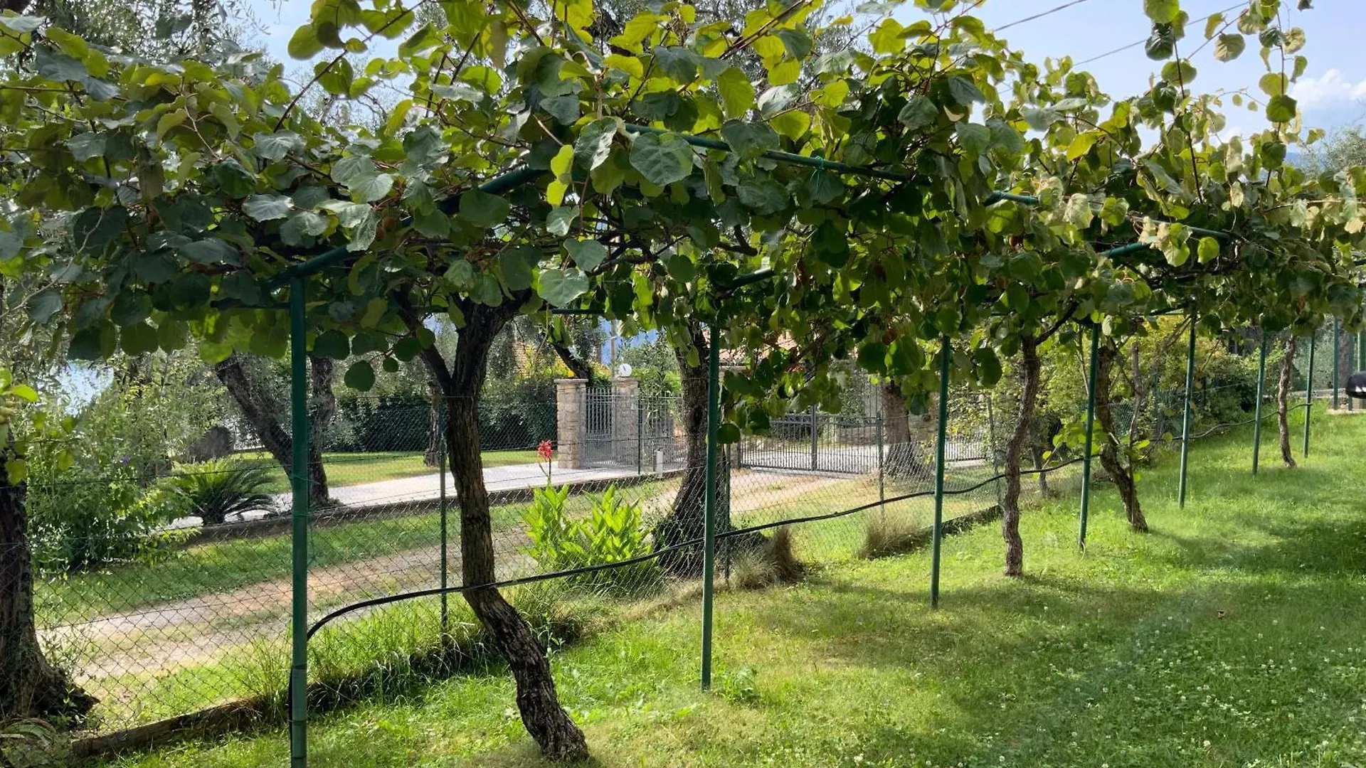 Villa Dei Limoni Malcesine 0*,