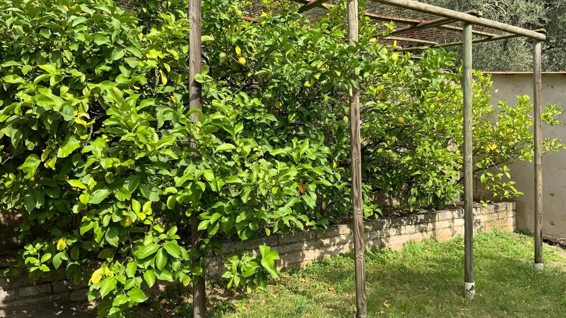 Villa Dei Limoni Malcesine Italien
